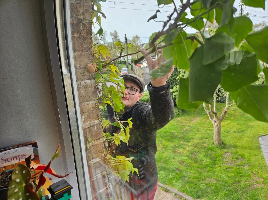 Kai at work, clearing growth from a window