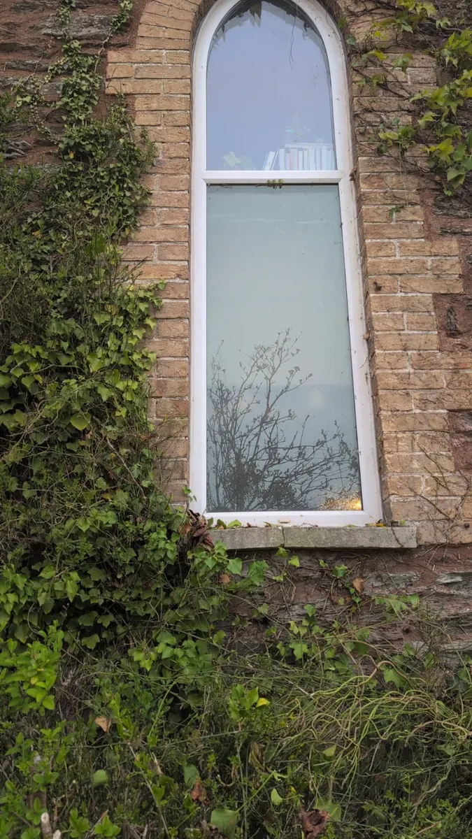 Window reclaimed after the hedge was cleared